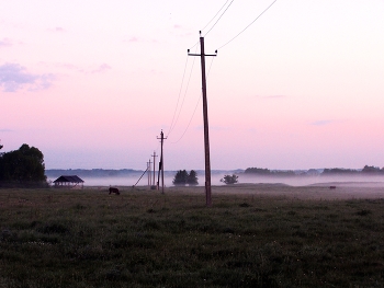 Morning Dawn / ***