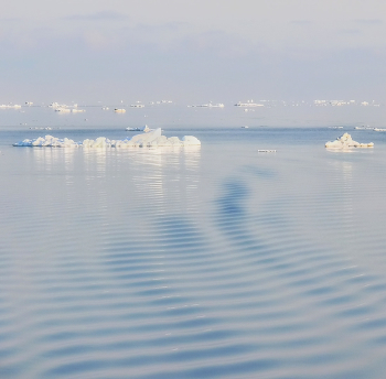 ice of horizon 2 / ***