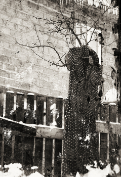 Dress. / ***
