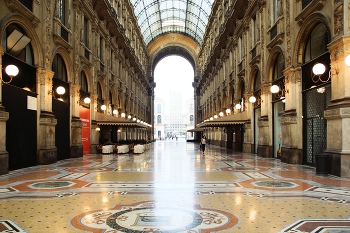 Gallery / ***