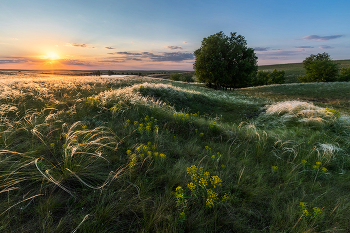 Between spring and summer / ***
