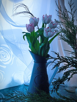 A Farewell to winter / ***