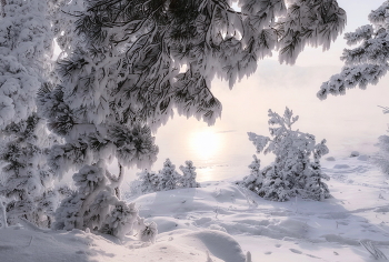 Winter / ***