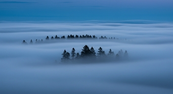 Fog Insel / ***