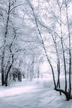 winter / ***