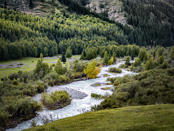 mountain River / ***