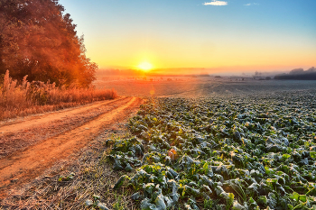 Autumn sunrise / ***