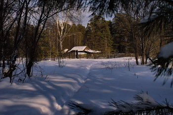 Cottage in the woods. / ***