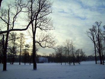 In Tsarskoye Selo / ***