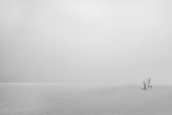 White / ***