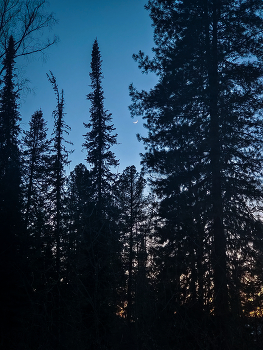 moon / ***