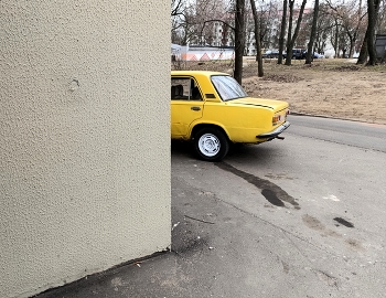  / ***