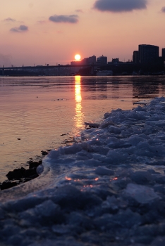 Last Ice / ***