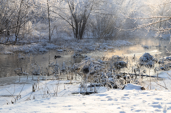 Duck Creek / ***