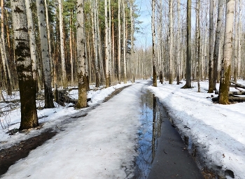 April day / ***