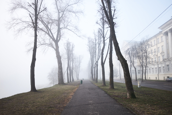 Morgen am Meer / ***