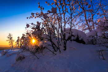 Winter Sun / ***