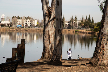 fishing / .....