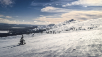 On the slopes / ***