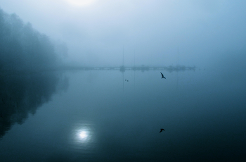 Reflection of the sun / ***