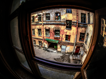 Rear Window / ***