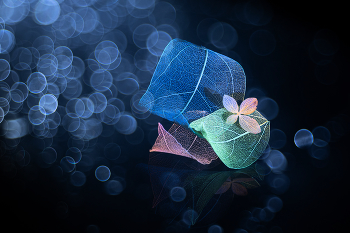 Meditative / 2024