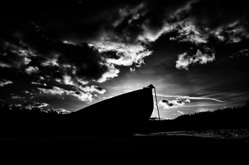 Life around / ***
