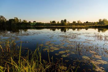 Evening on the river / ***