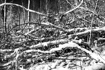 Life around / ***