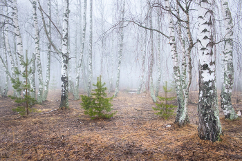 Warm morning / ***