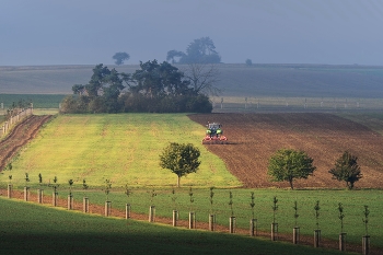 Moravia / ***