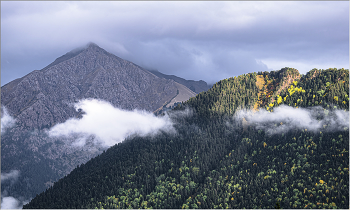 Caucasus / ***
