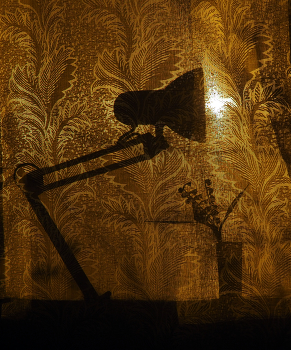 Light and shadow / ***
