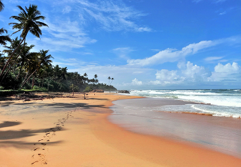 Walking along the shore / ***