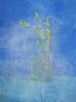 Green Noise / ***
