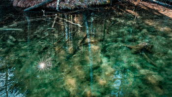 At the bottom / ***