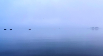 *** Calm / ***