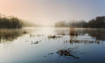 Spring morning / ***