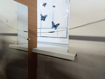 Butterflies / ***