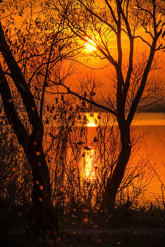 Rustling reeds ... / ***