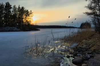 Premonition of spring / ***