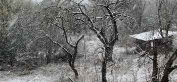Winter has returned / ***