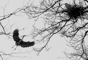Return / ***