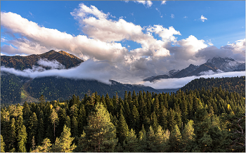Morning in the mountains / ***