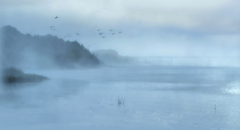 Spring fog. / ***