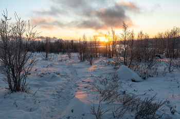 The low sun / ***