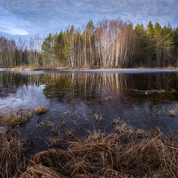 Morning of the last ice / ***