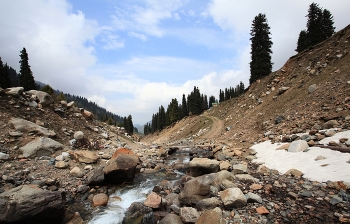 Mountain Gorge / ***