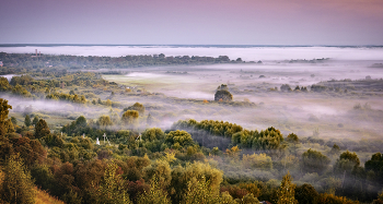 Foggy morning / ***