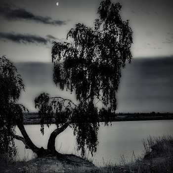 Summer evening. / ***